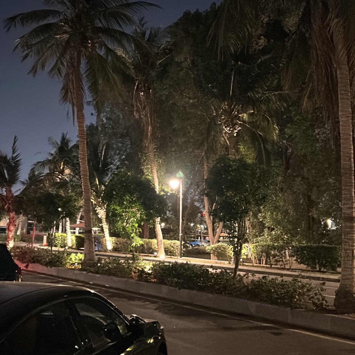 ‏Благородный волк tweet media