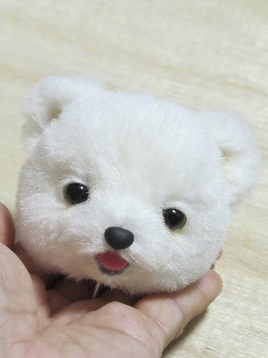 シロクマちゃんと目が合った…