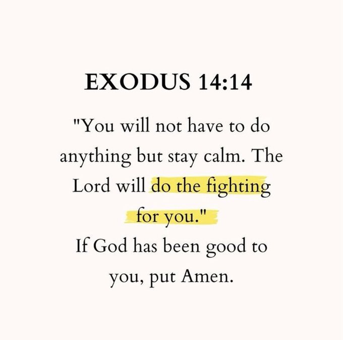 Bible 365 tweet media