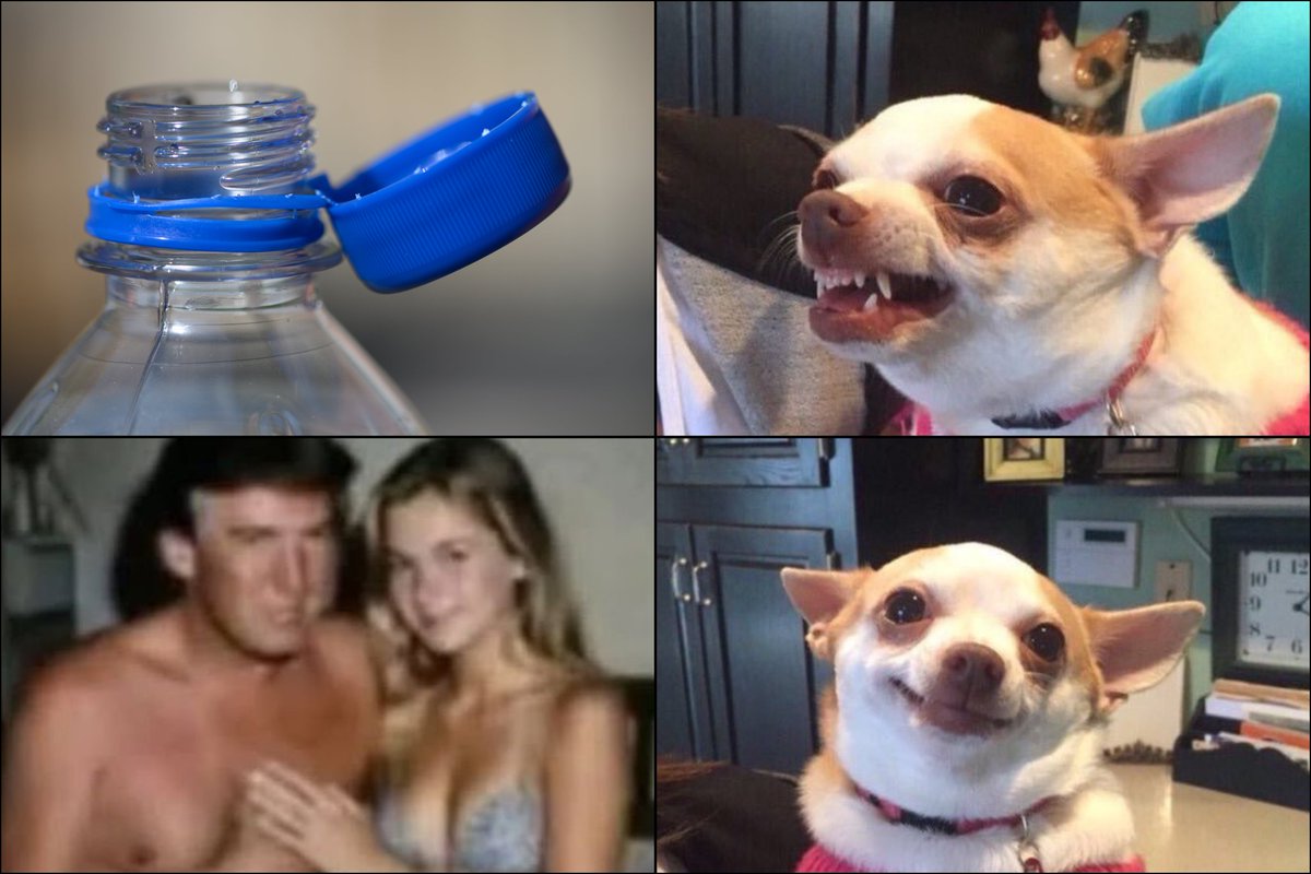 Pues así está toda la derecha internacional.