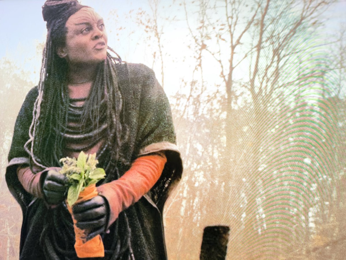 Ali Utlu tweet media