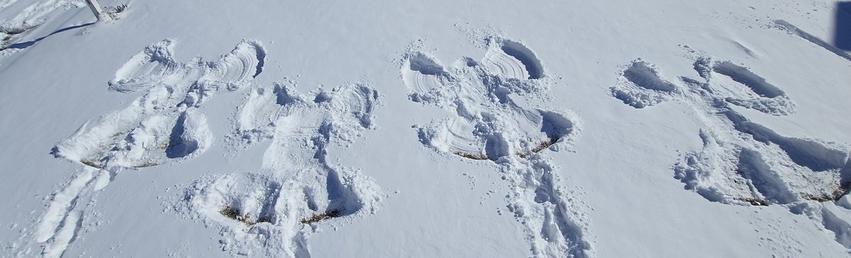 FOmyronpitts's tweet photo. Gotta take advantage of the rare snow deep enough to make angels in #FayettevilleNC. Ours were a family affair. #snow #SnowAngels https://t.co/s736hr6FI0