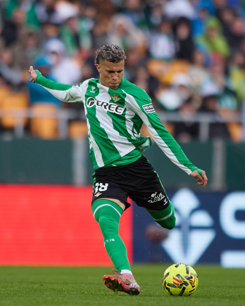 🟢 Exclusiva <a href="/RealBetis/">Real Betis Balompié 🌴💚</a> 

🚨 Los verdiblancos HAN RECHAZADO una OFERTA de 15 MILLONES+Bonus por NELSON DEOSSA procedente del BESIKTAS turco.

❌ En Heliopolis confían, al igual que en el caso de Natan, que el jugador puede seguir creciendo y aumentando su valor