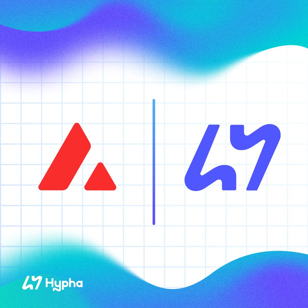 Hypha🌱 tweet media