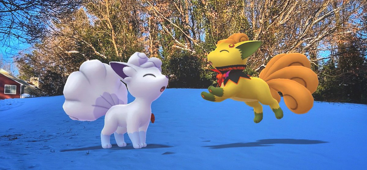 LaeSnaps's tweet image. Happy #PokemonGOCommunityDay with my favourite Pokémon, Vulpix! #GOsnapshot ❄️🔥