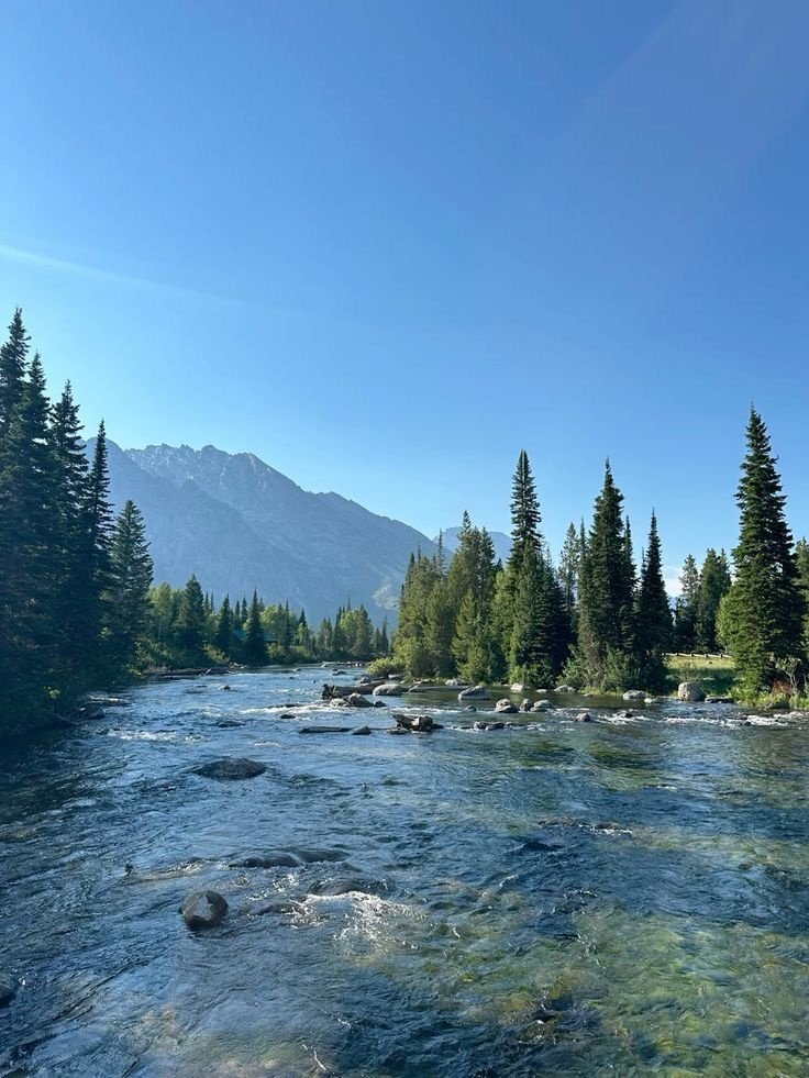 MittCPA's tweet image. the best views follow the most difficult climbs