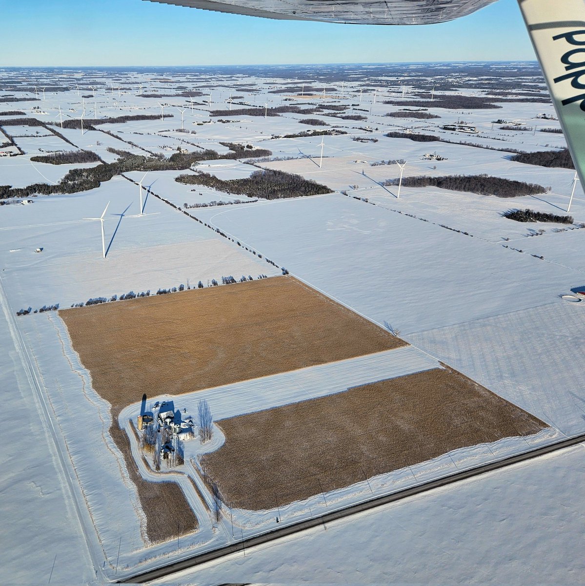 Papple Aviation tweet media