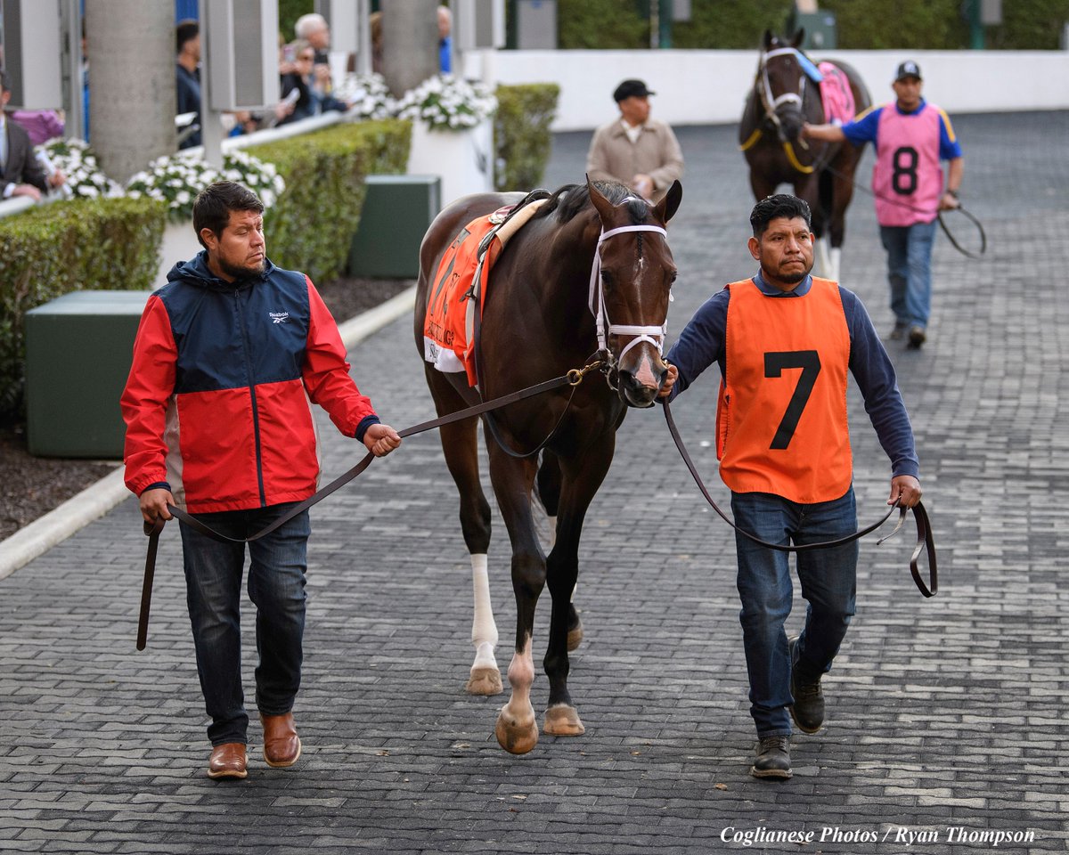 Ryan Thompson tweet media