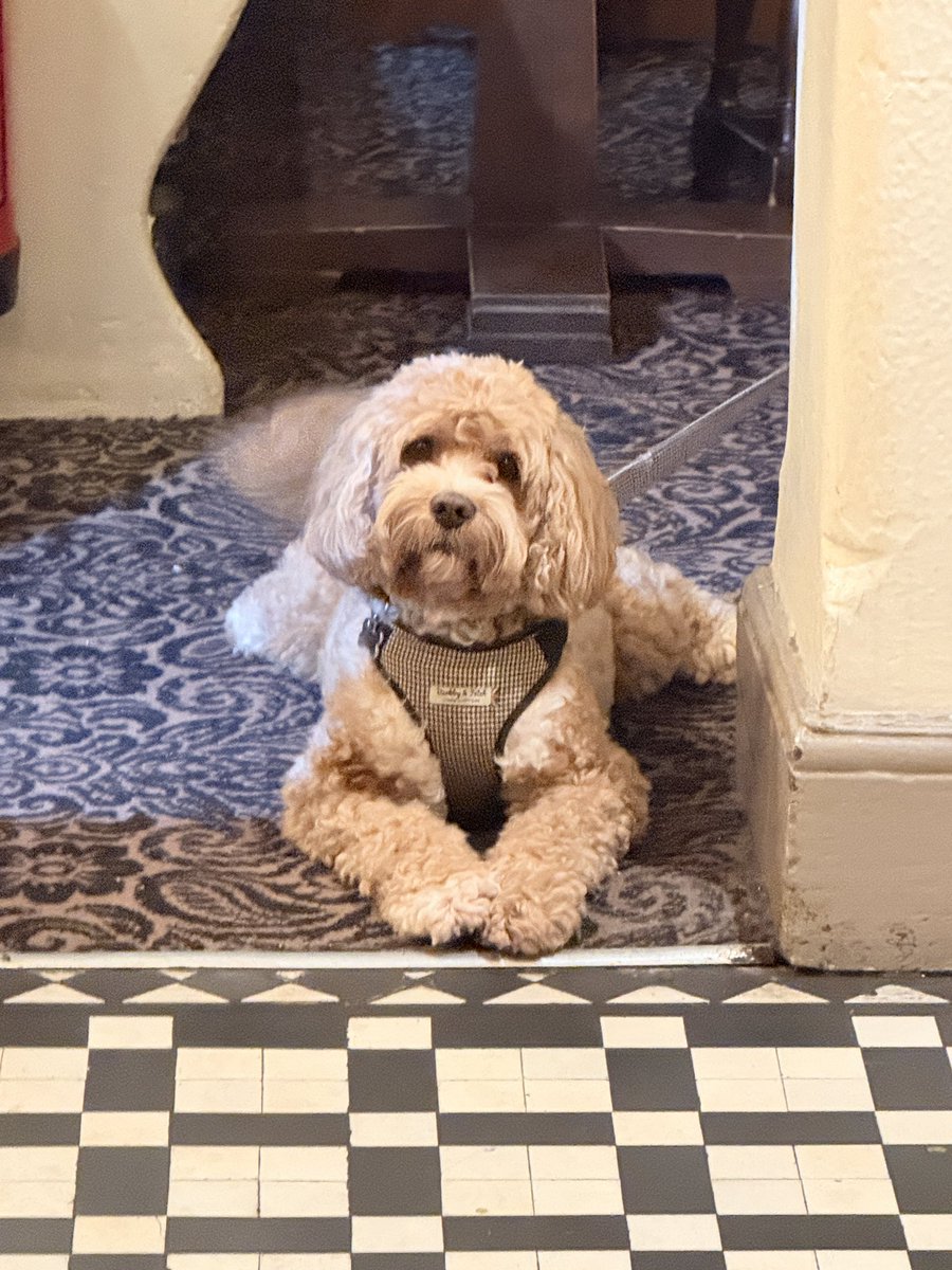 The Roebuck tweet media