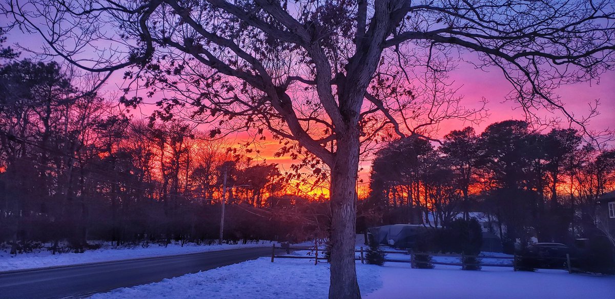 Sapo Man Photography 😃 tweet media