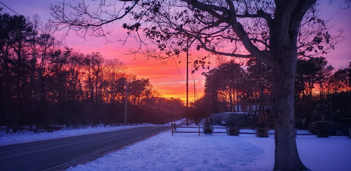 Sapo Man Photography 😃 tweet media