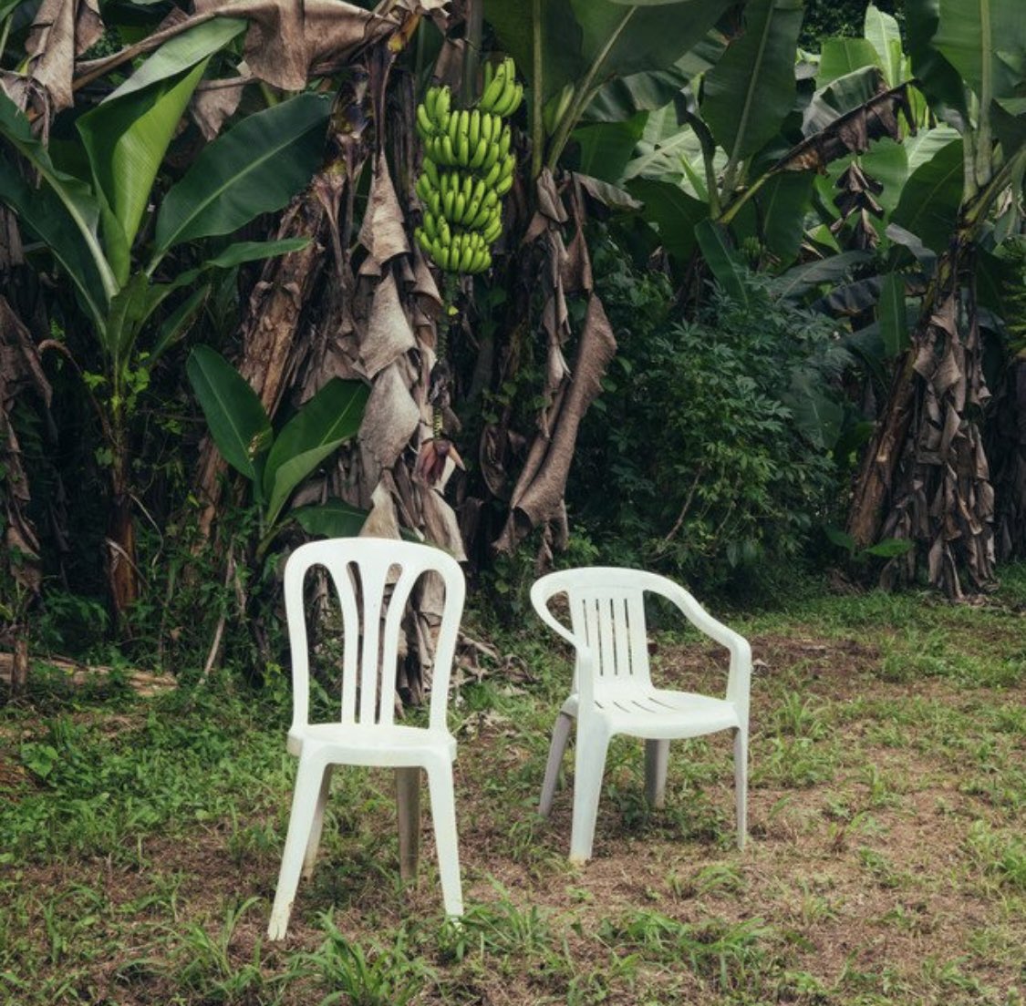 jolix_12's tweet image. Los Grammys no te valoraron pero nosotros sí, cover para la historia ❤️‍🔥