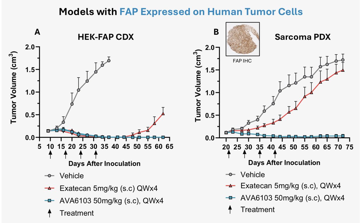 tom_the_bomb__'s tweet image. #AVCT’s AVA6103 enters the clinic this month or next.

Watch out #pancreatic, cervical, gastric &amp;amp; small cell lung cancer - you’re in @avacta’s crosshairs. 

Big pharma - the queue is forming.

#LetsDoThis
