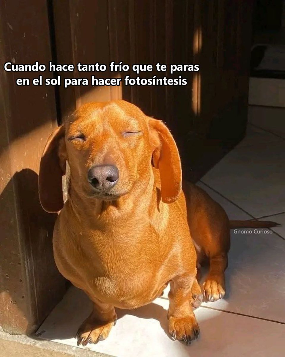 Nasty Poet (@nxstypxet) on Twitter photo 