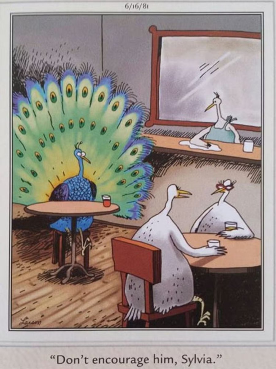 Far Side Fix tweet media