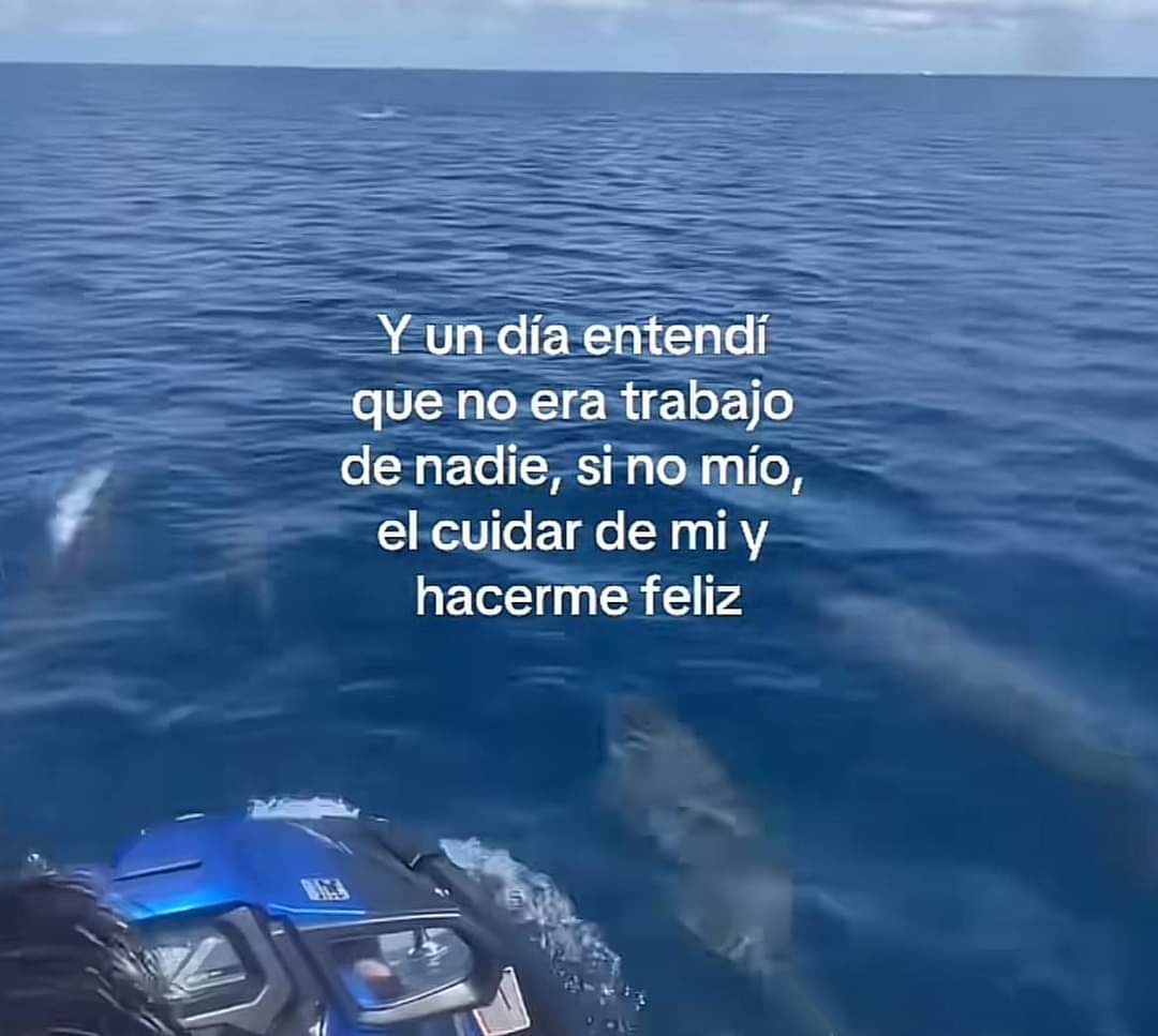 FraseSimple's tweet photo. https://t.co/Fp86HQudY7