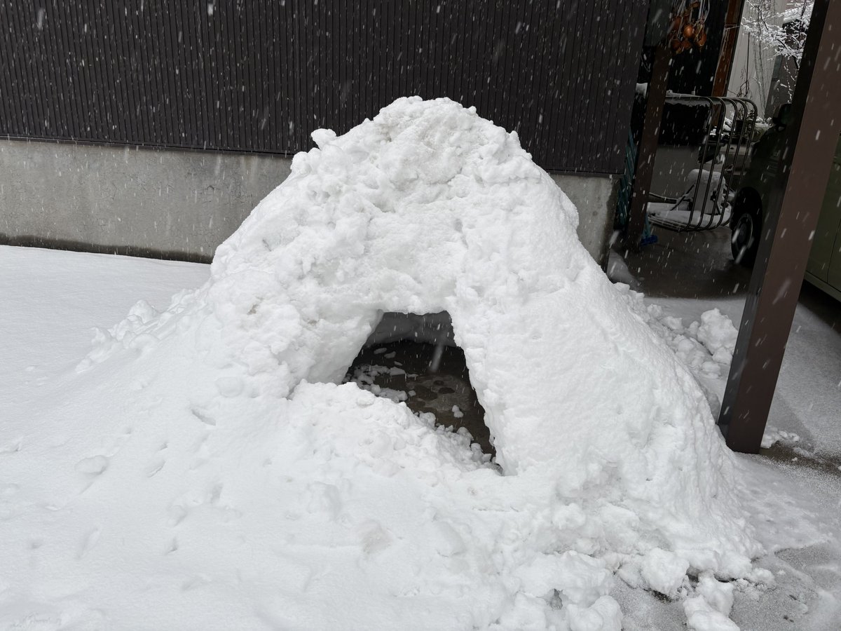 かまくら 今日のかまくら☃️