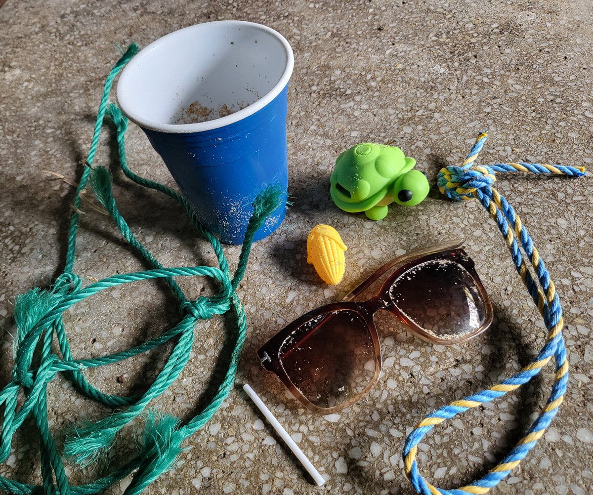 🌱Pene🤿🌻🐝🦀🦈🐋🦑🐔🦆 tweet media