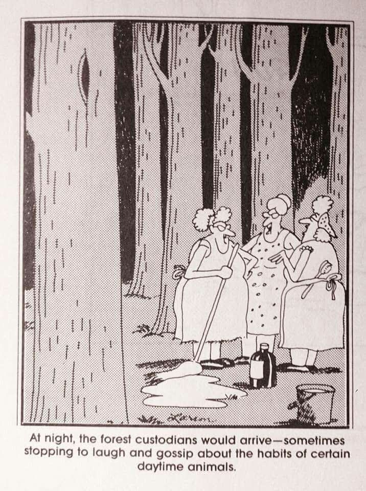 Far Side Fix tweet media