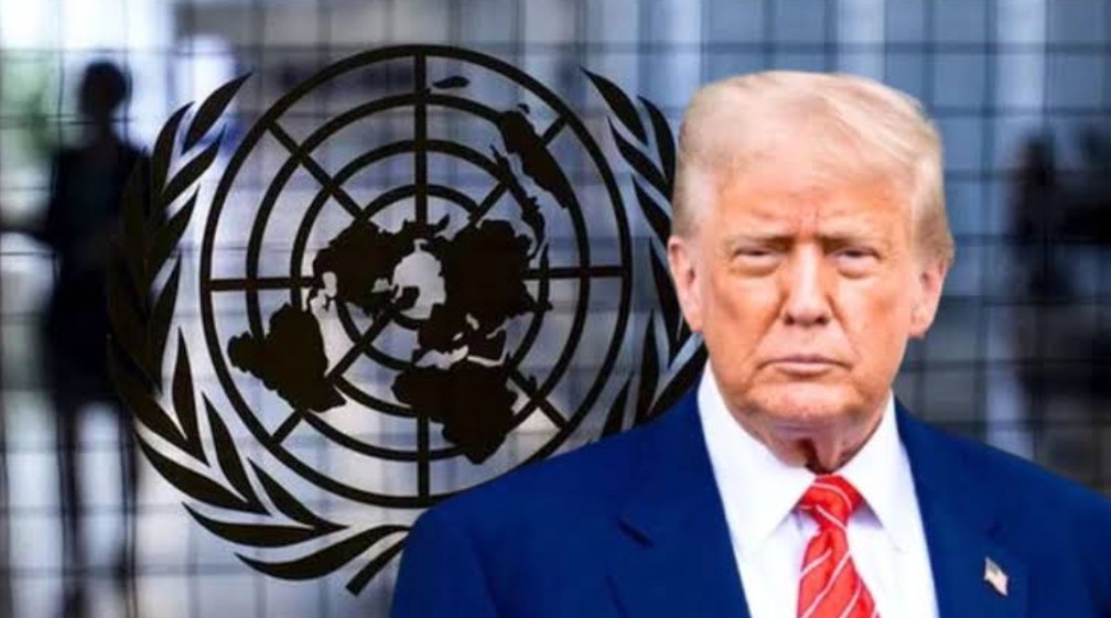 The United Nations, World Health Organisation and World Economic Forum are all prime vehicles for globalism. The global elites are using these unelected bodies to expand control over western culture, belief systems, economies, borders and public health. The climate crisis, mass