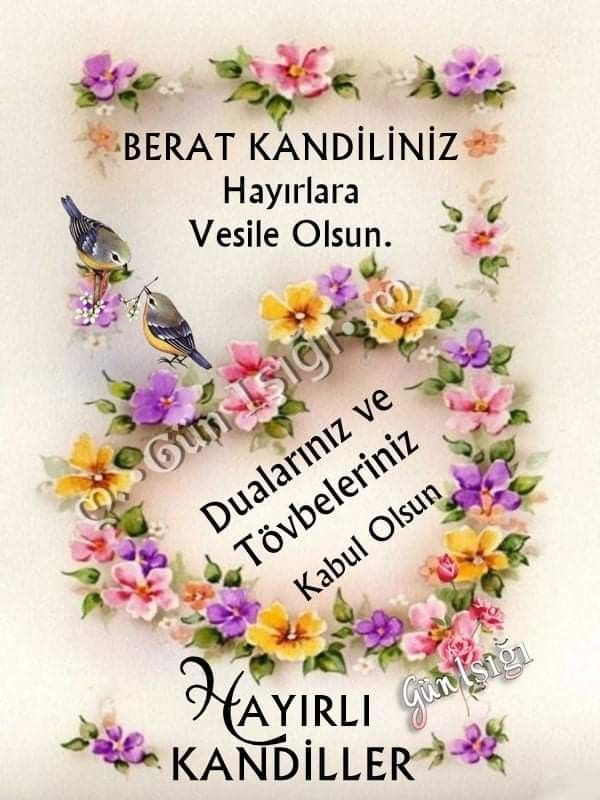 Yaban Gülü (@vesiley05375056) on Twitter photo 