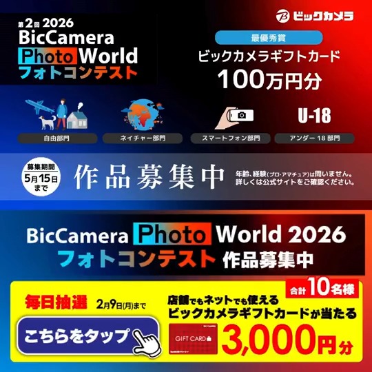 ニャンパラリ (@4ZMlXaslB9uqWGa) / Posts / X