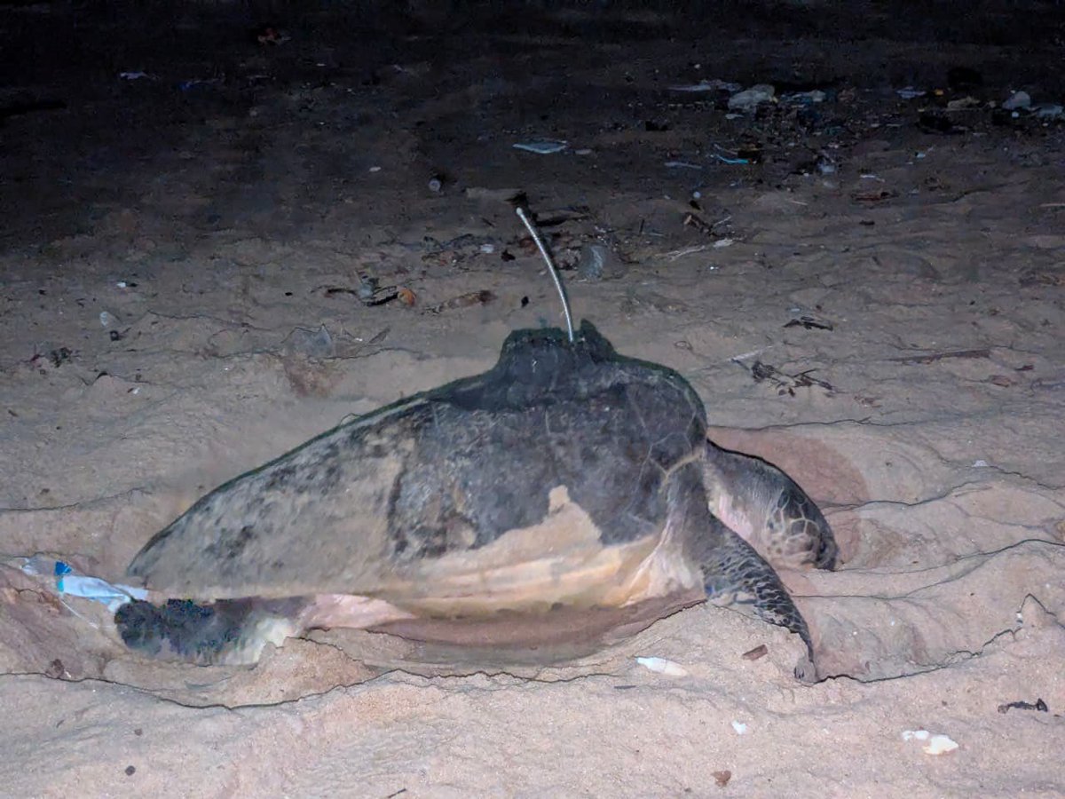 Supriya Sahu IAS tweet media