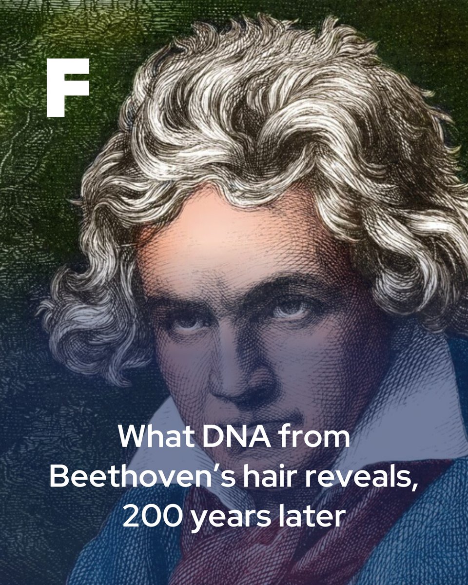 Futura USA tweet media