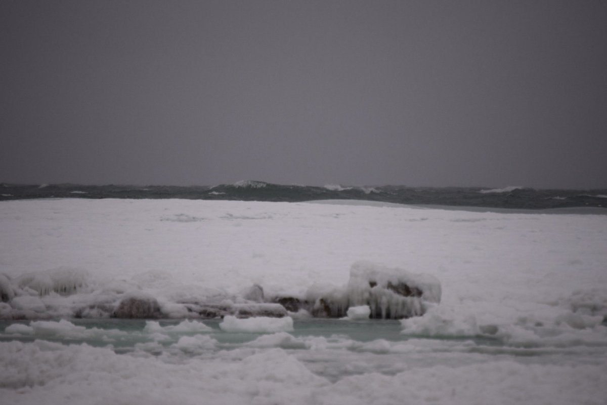 mmuhlfelder's tweet image. Under the ice of #capecodbay is a #calmocean ( unedited photos 2/1/26)
