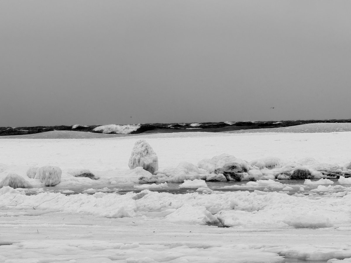 mmuhlfelder's tweet image. Under the ice of #capecodbay is a #calmocean ( unedited photos 2/1/26)