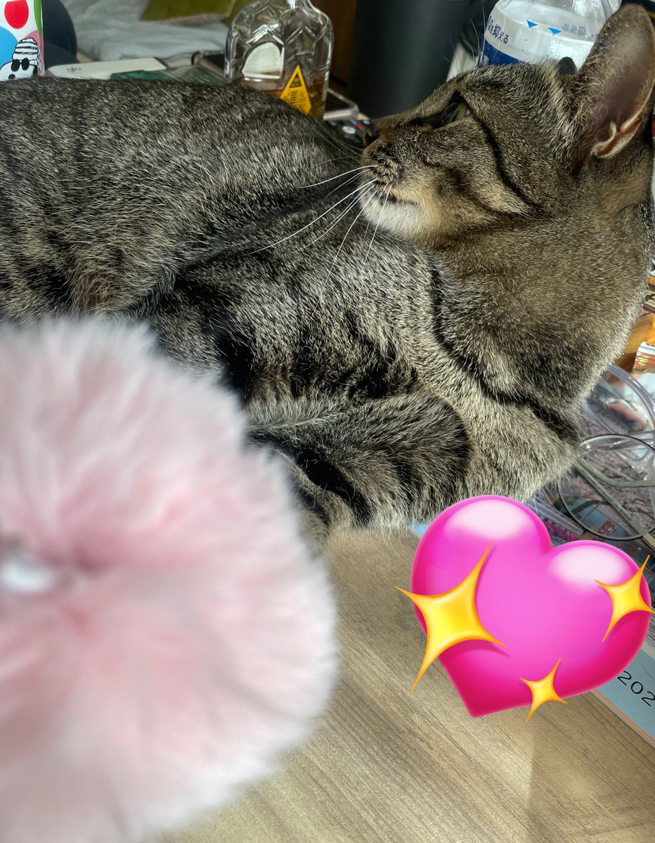 ひらめ♀ BABY BABY🧸🌈 (@hirachuchuchu) / Posts / X