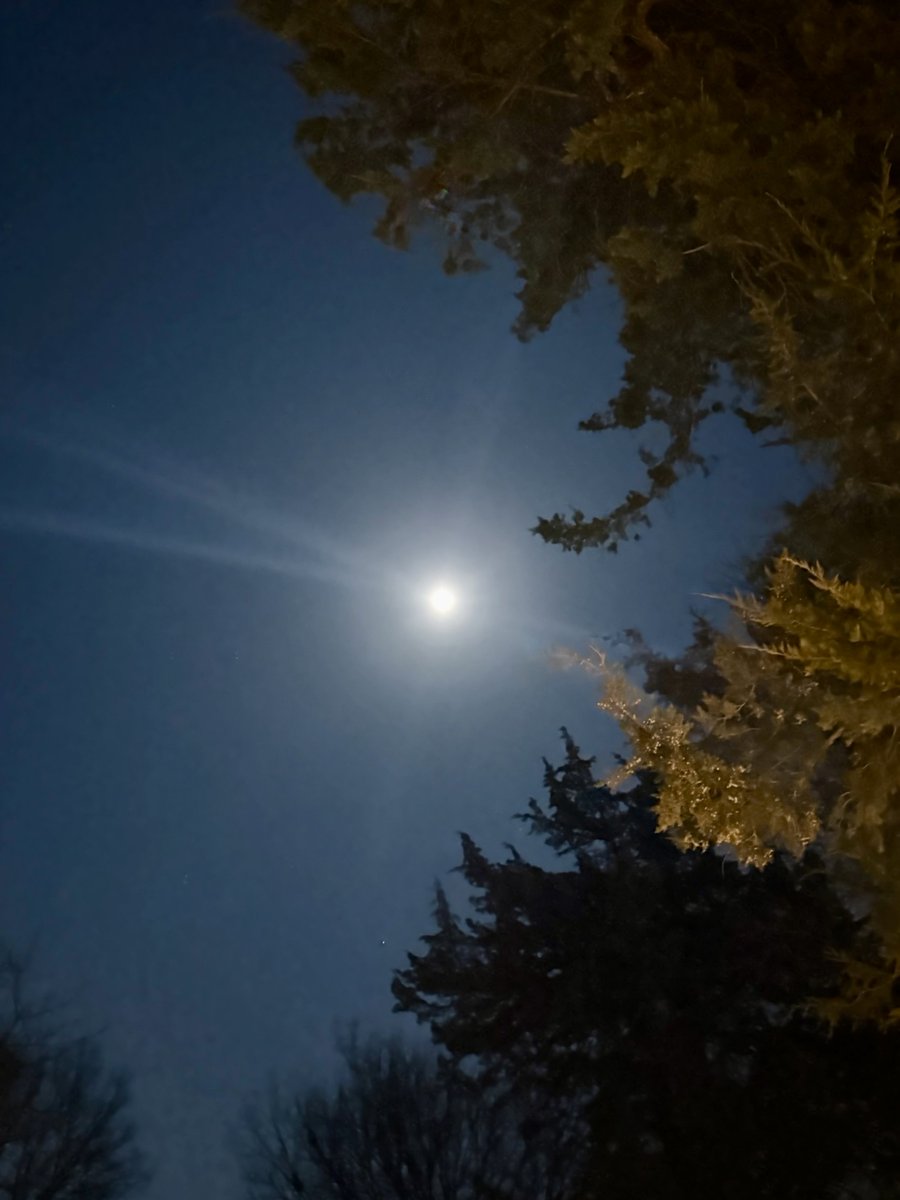frito15's tweet photo. #moon https://t.co/sSTzMM6gA2