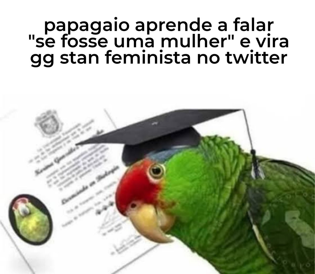performance mequetrefe? assistiu e ouviu com o cu ne amigo kkkkkk e o massacre viria logo de vcs (homens) pfv me poupe