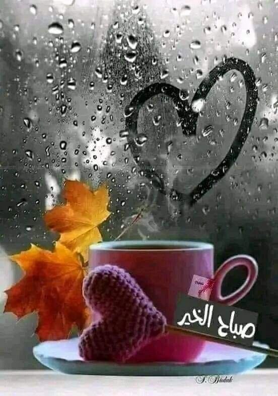 محمد عبدالله احمد الفالح ابو عبدالله (@mohammadalf2017) on Twitter photo 