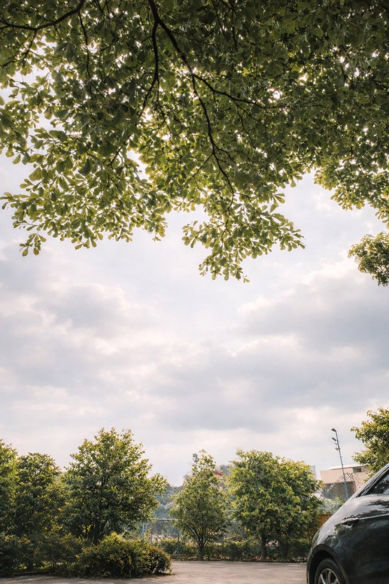 Calm mind, calm life