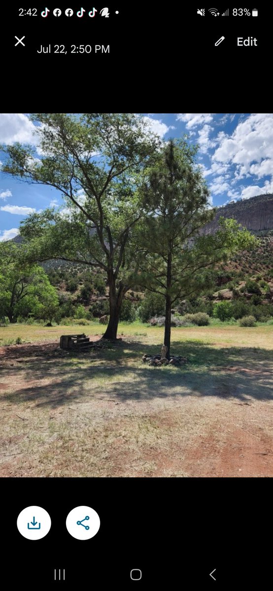 I found these pics of the manufactured home on the lot when I purchased the property.

GOING.....GOING.....GOING.....GONE!

Now, I can FINALLY dream about building my vacation home!!! <a href="/MuhammadAli/">Muhammad Ali</a> <a href="/VernonLionsBall/">Lion Football</a>
<a href="/vivianfieldms/">Vivian Field Middle School</a> <a href="/LaVillitaElem/">La Villita Elementary School</a> <a href="/GavinNewsom/">Gavin Newsom</a> <a href="/jemezhotsprings/">Jemez Hot Springs</a> <a href="/peta/">PETA</a>