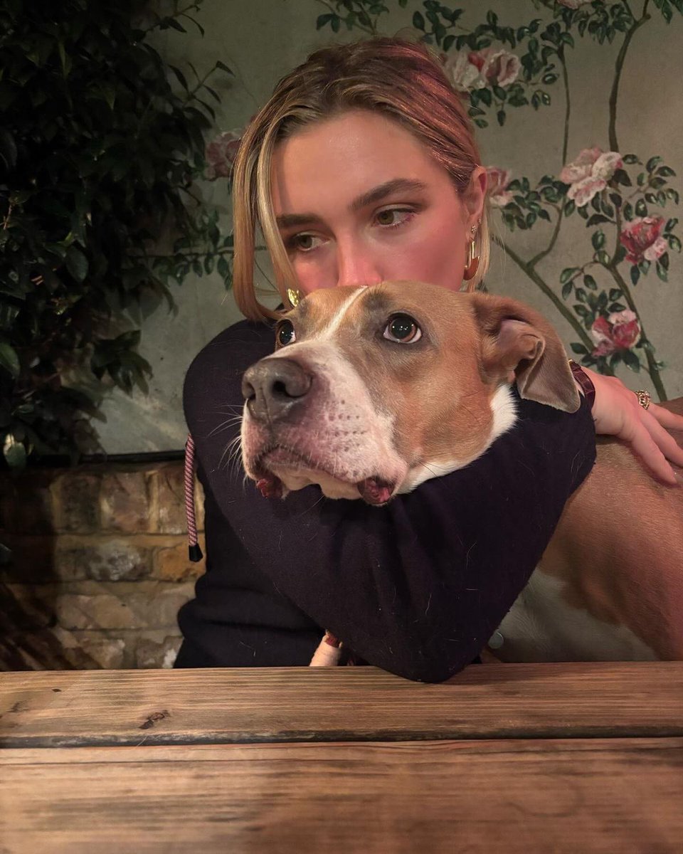 florence pugh archive tweet media