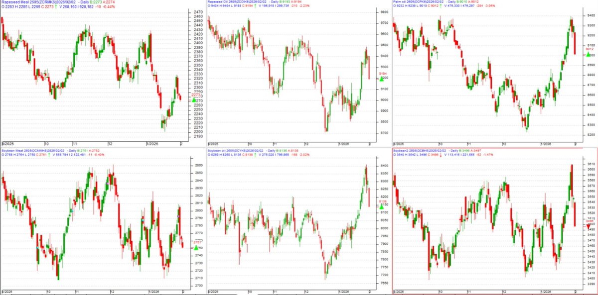 चाइनामे हर कोइ #कोमोडिटीमे भारी गीरावट आयी. गत सप्ताह दो दीनमे सोनाचांदी मेटलमे देखी गइ गीरावट अब तेल-तिल्हन, कपास इत्यादीमे भी फेली हे- बास्केट सेलींग आया हे- उपर के तीन चार्ट सरसो खल, सरसो तेल, पामतेल ओर नीचे के तीन चार्ट सोयाखल, सोयातेल ओर सोयाबीन का हे.