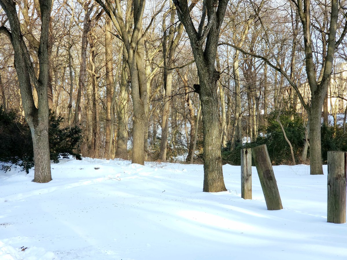 yserbius Gandalf tweet media