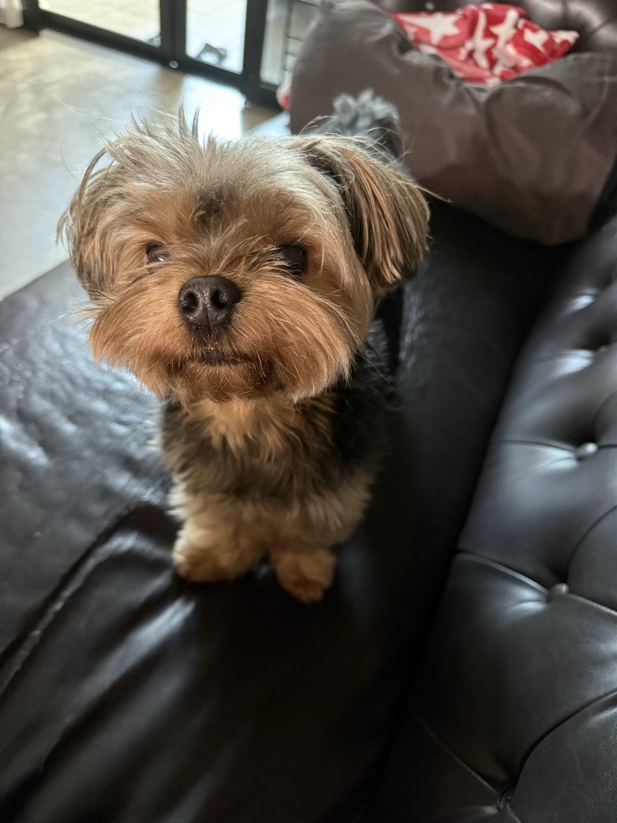 ไปยิมกลับมาหิวมาก หิวแบบเกือบจับหมาตัวเองกิน
แล้ววันที่ไม่ไปยิมล่ะ เอ่ออ ก็หิวเหมือนกัน