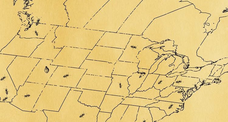 lucy 🐞 tweet media