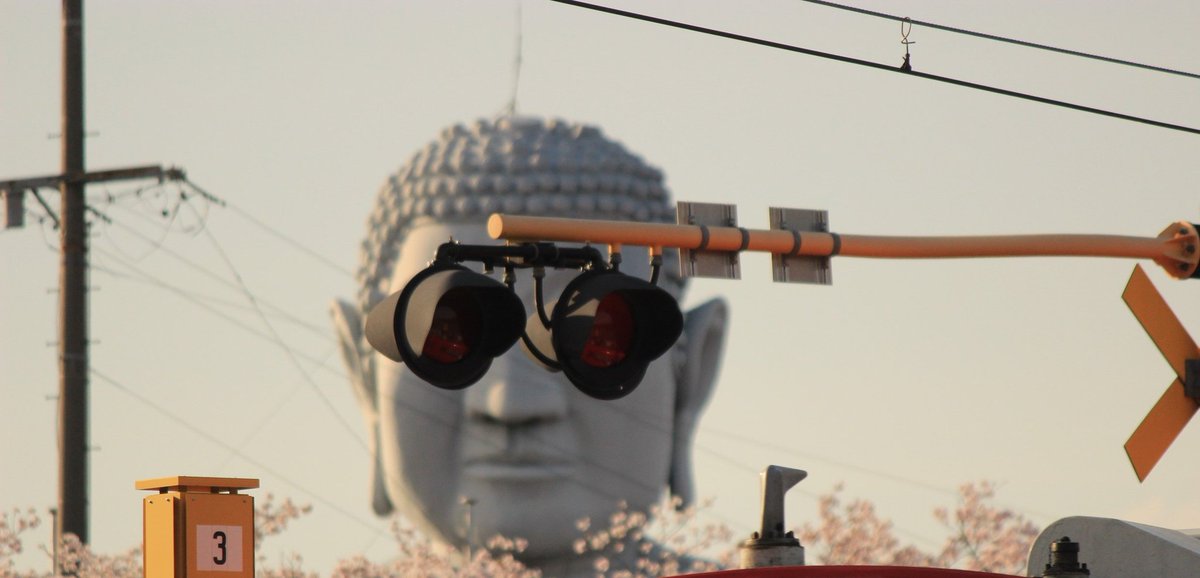 いつ見ても素敵な 現代の大仏さま