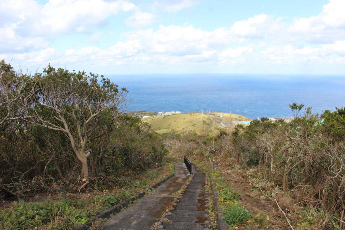 尾山展望台への遊歩道に新たに手すりを設置、また、台風被害を受けた樹木の刈り取りを行いました。皆様、ぜひ足をお運びください。