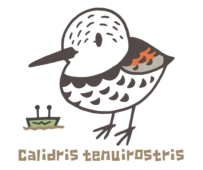#世界湿地の日 #WorldWetlandsDay