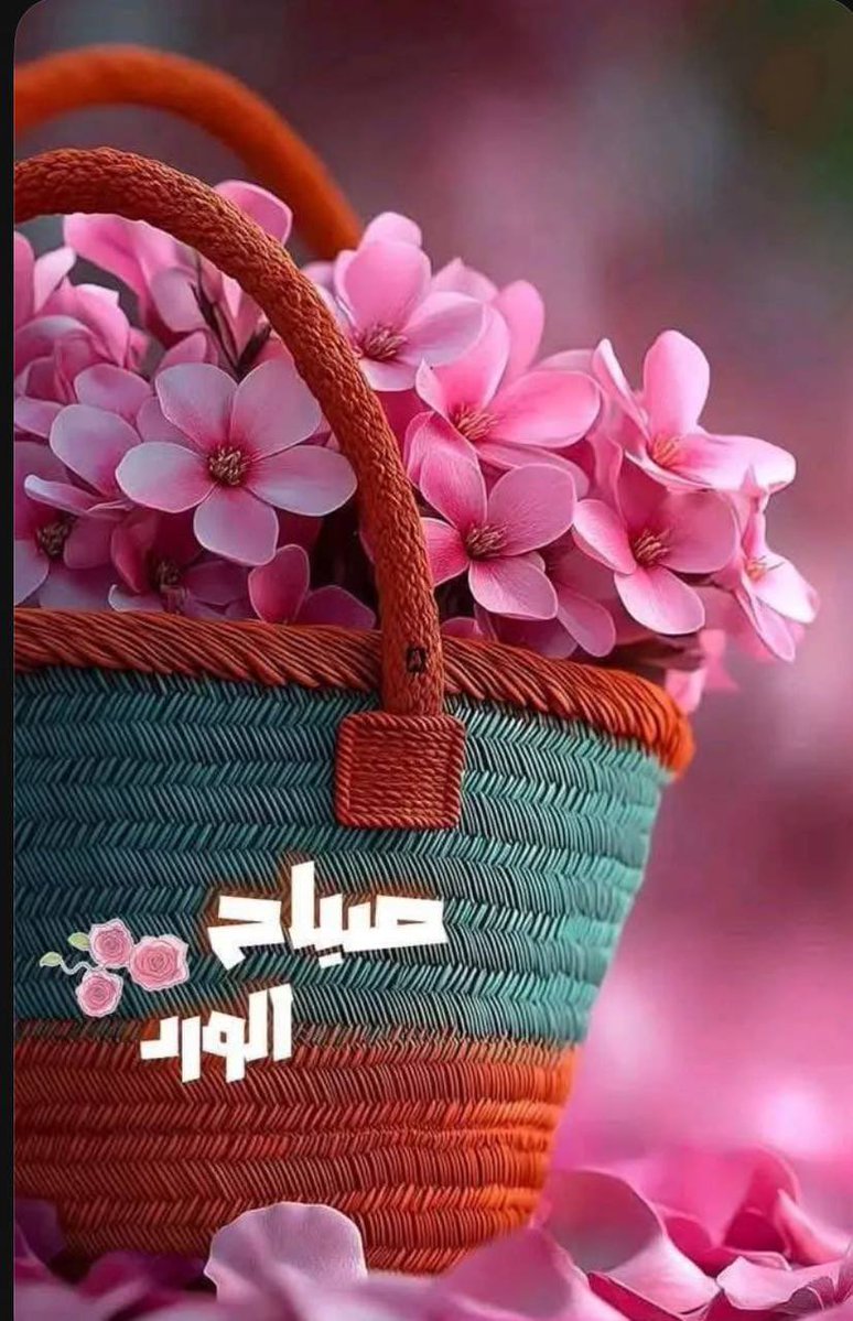 ولأن بعض الخيارات لا تُختار بالعقل،
بل بالطمأنينة…
وأجمل الانحيازات تلك التي تُعيدك إلى نفسك،
حيث تعرفك النهايات قبل أن تصلها،
ويستقبلك المكان كأنك لم تغب يومًا.

#صباح_الخير_والسعاده_للجميع