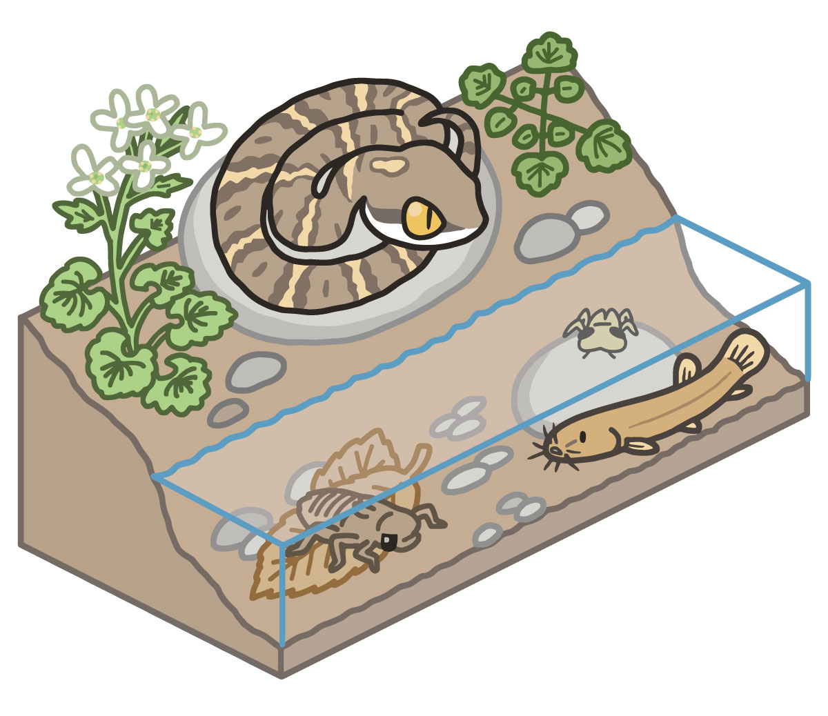 「#世界湿地の日 #WorldWetlandsDay」|いずもり・ようのイラスト