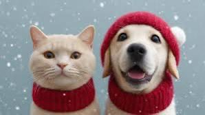 Quinn 💛(G.Quinn Rogers) tweet media