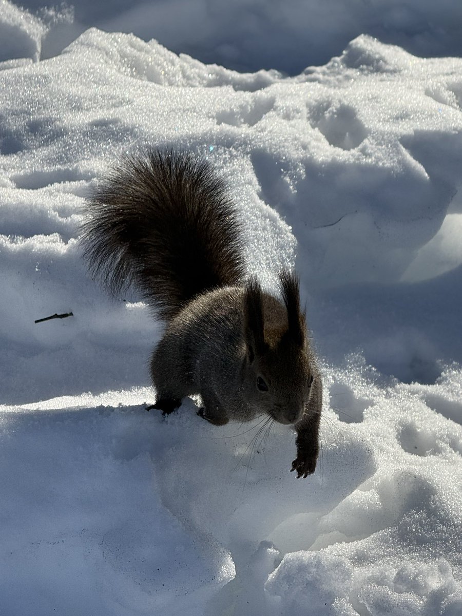 かずみつ (@kaz32) on X