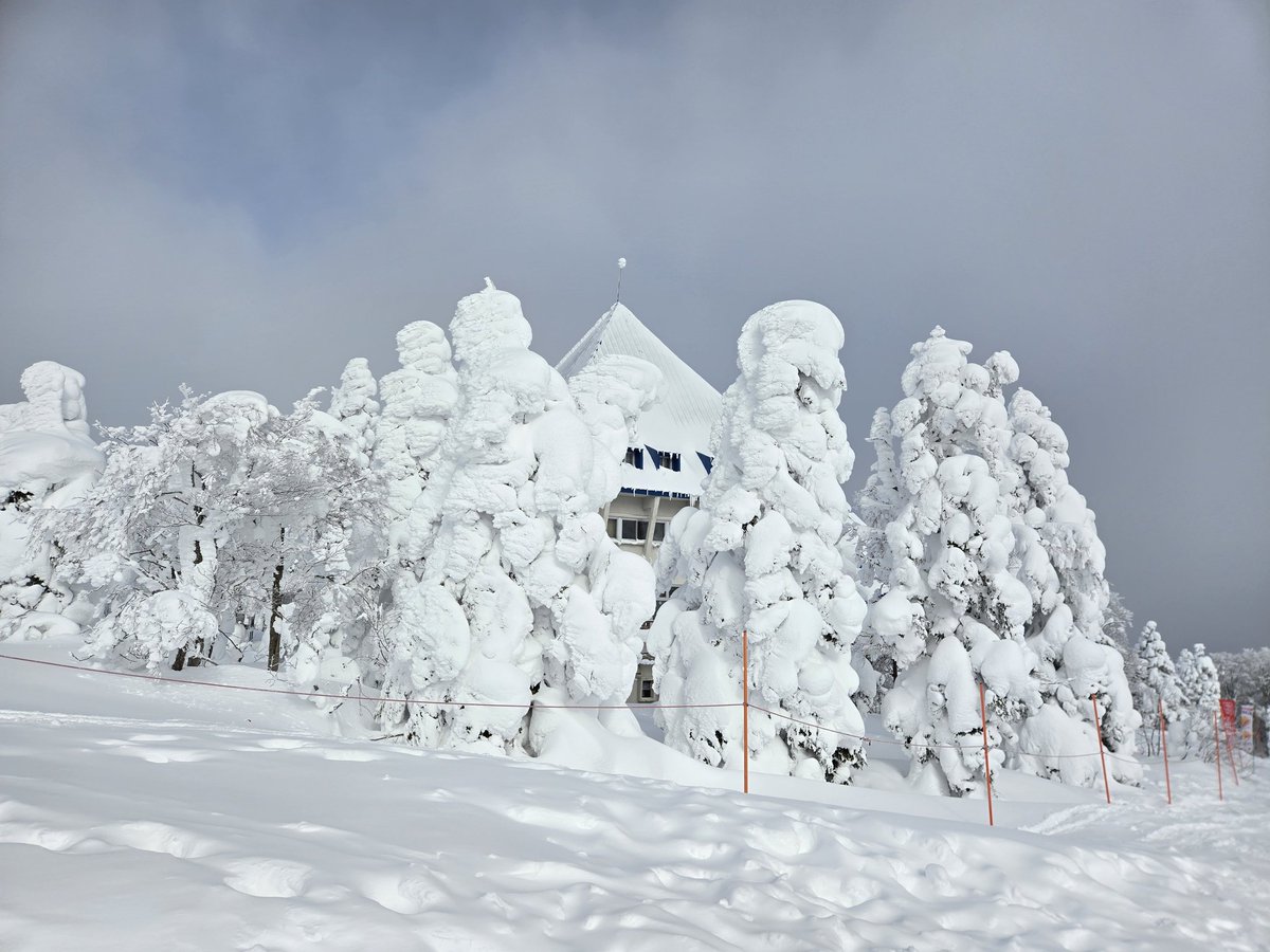今日の蔵王は午前中に一瞬晴れた！