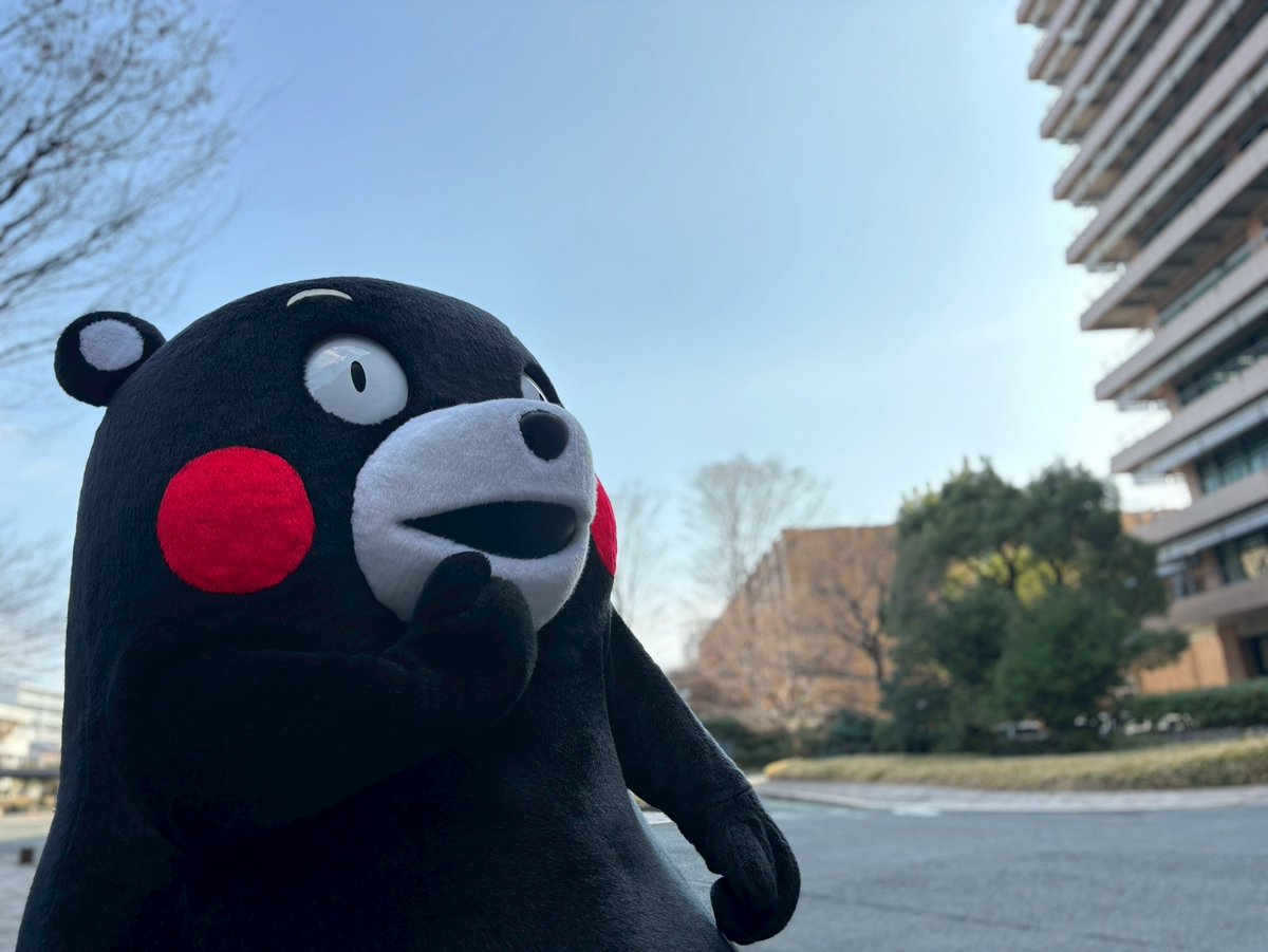 55_kumamon's tweet photo. おはくま～！今日も1日よろしくま☆ https://t.co/EFX5W8IwFi